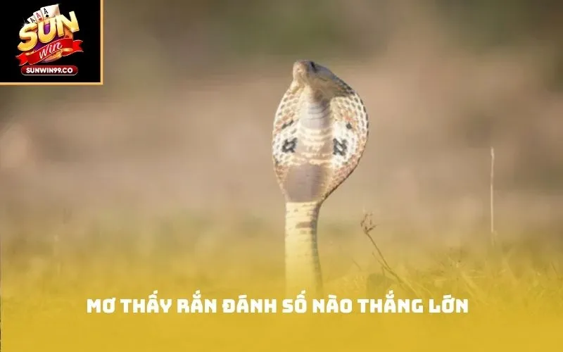 Mơ thấy rắn đánh số nào thắng lớn