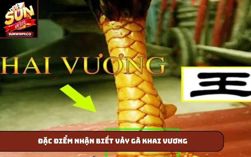 Đặc điểm nhận biết vảy gà khai vương
