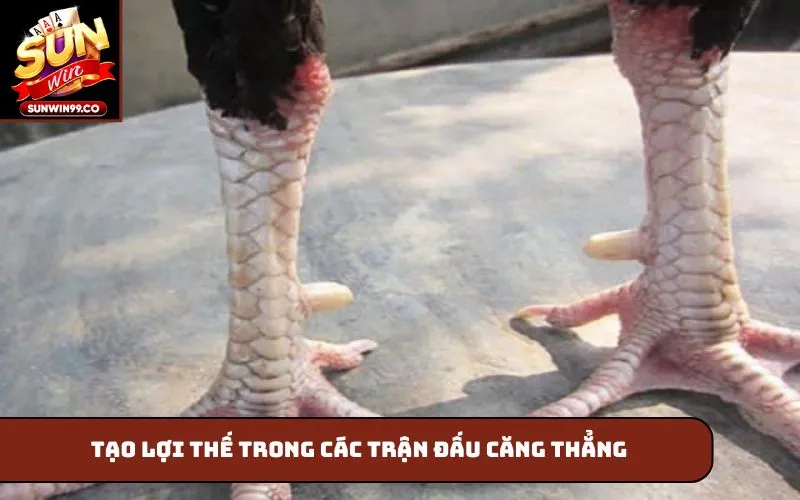 Tạo lợi thế trong các trận đấu căng thẳng