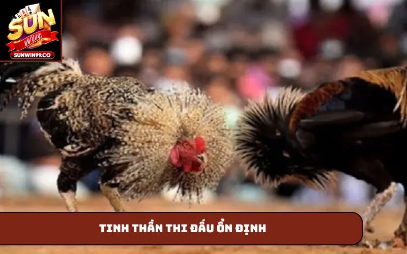 Tinh thần thi đấu ổn định