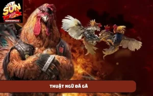 Thuật ngữ đá gà