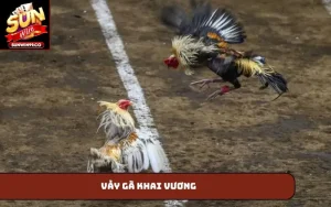 Vảy gà khai vương