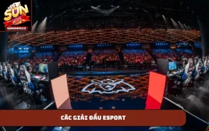 Các giải đấu Esport