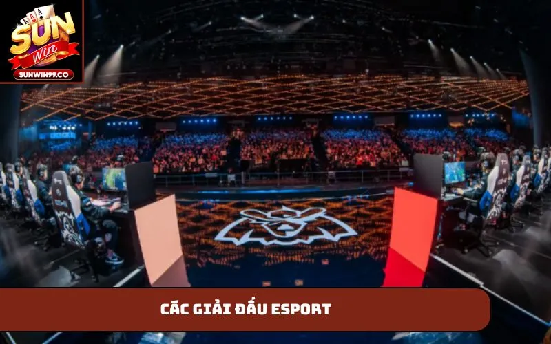 Các giải đấu Esport