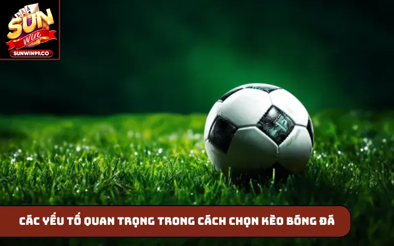 Các yếu tố quan trọng trong cách chọn kèo bóng đá