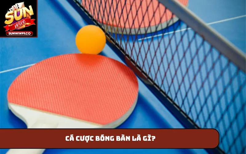 Cá cược bóng bàn là gì?