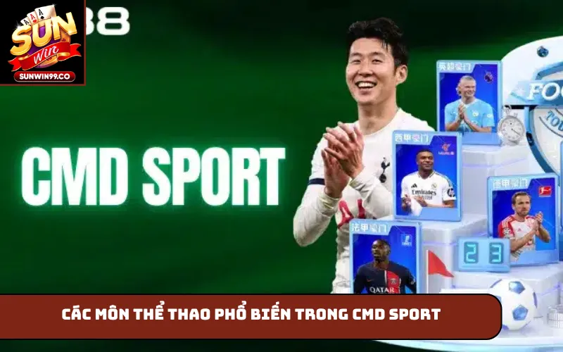 Các môn thể thao phổ biến trong CMD Sport