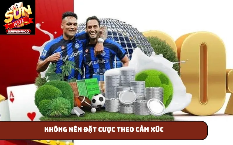 Không nên đặt cược theo cảm xúc