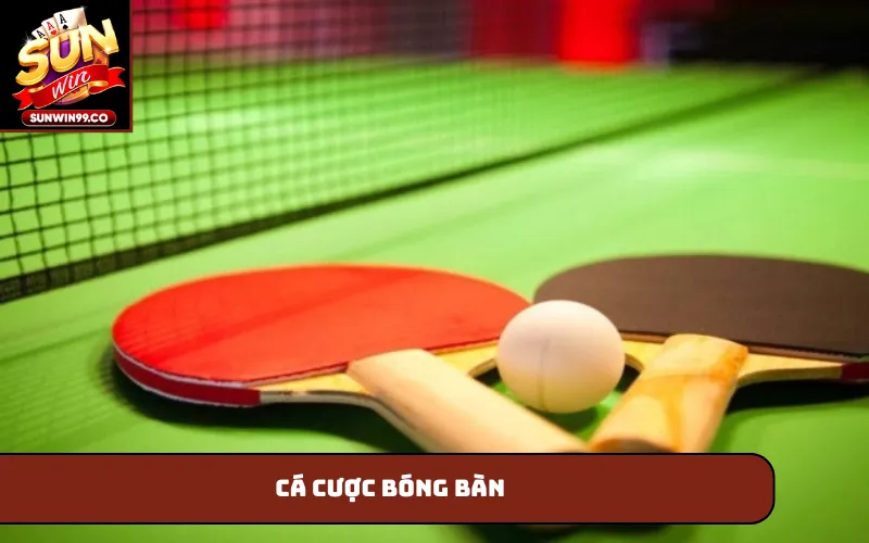 cá cược bóng bàn